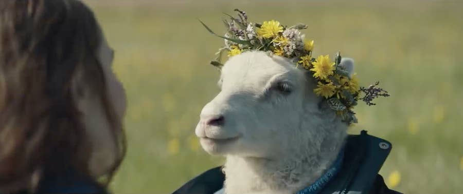 Lamb Is A24's Newest Weird, Creepy, And Cute Movie