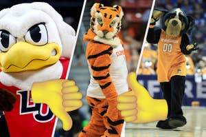 Sparky from Liberty U, The Tiger from Clemson, and Smokey from Tennessee 