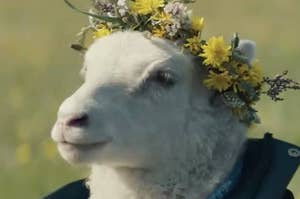 A lamb in a flower crown
