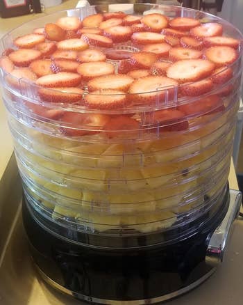 Reviewer photo of the dehydrator filled with sliced fruit
