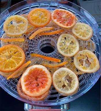 Reviewer photo of dehydrated citrus