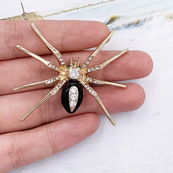 A person holding a spider brooch in their hand