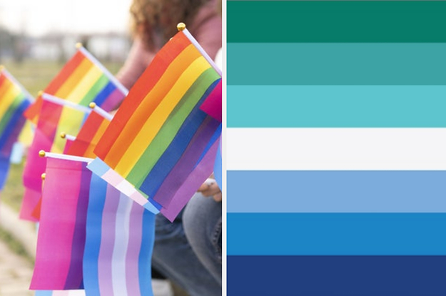 How Well Do You Know The LGBTQ+ Pride Flags?