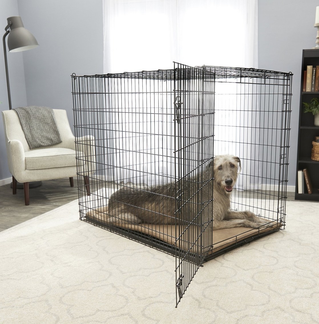 A large crate with a gray dog