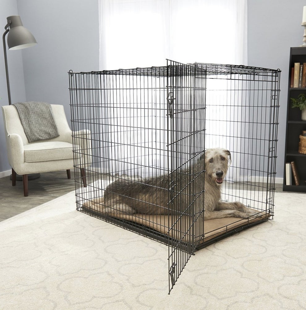 26 Products From Chewy For Extra Large Dogs