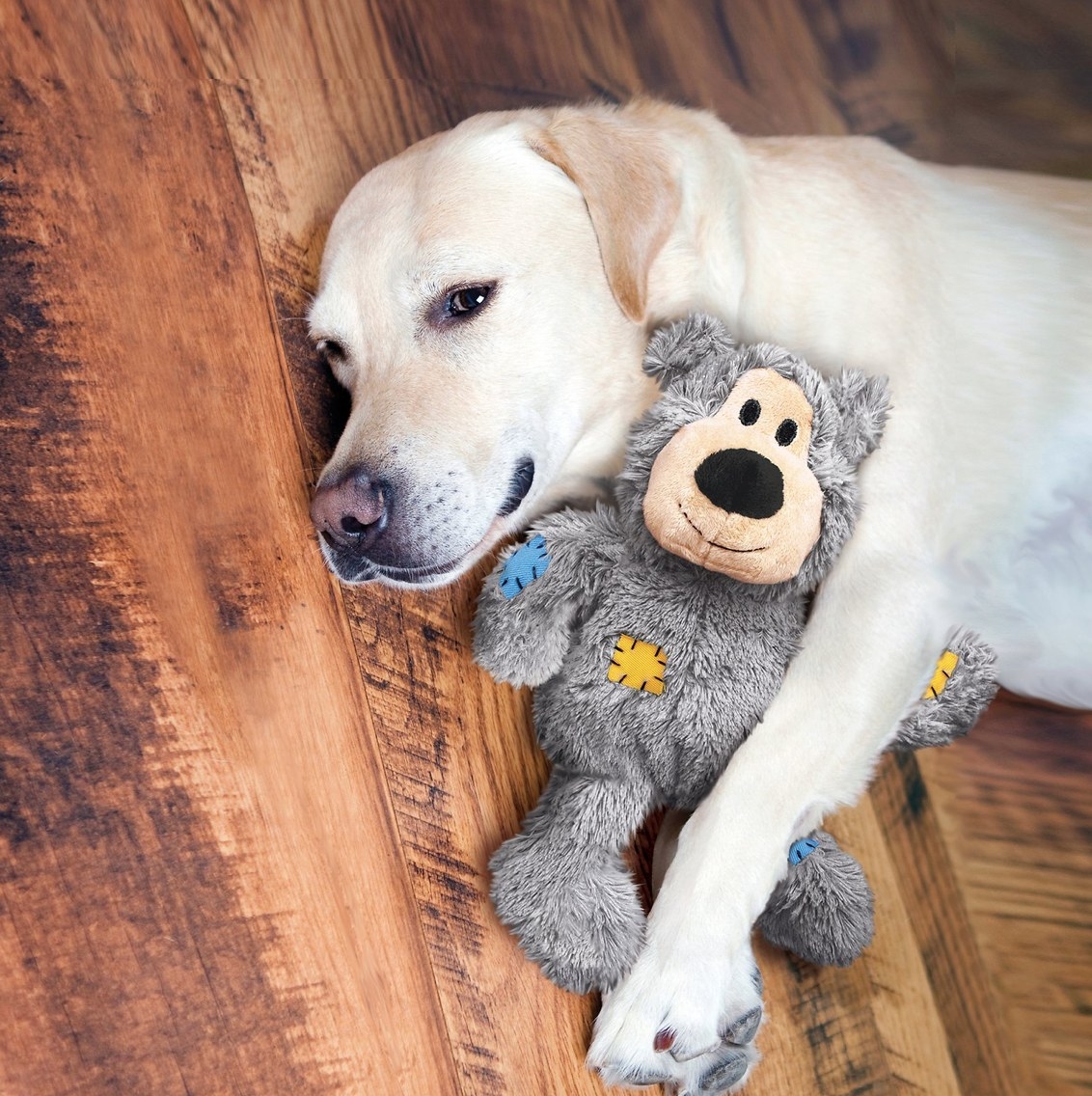 A dog with a gray teddy bear