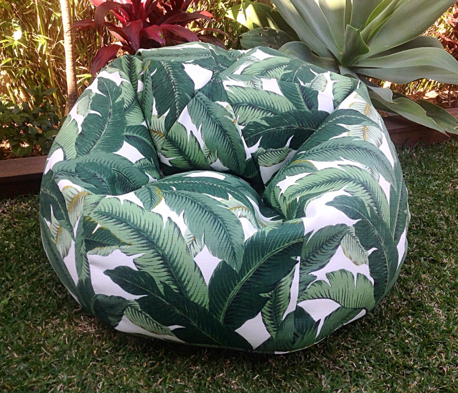 The green palm tree cover