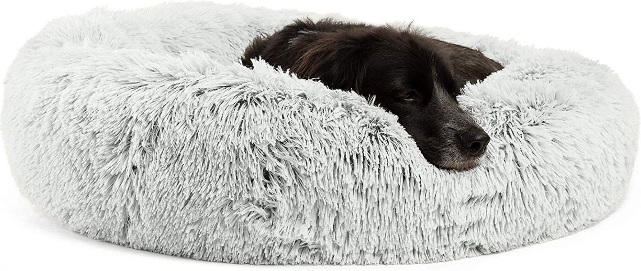 Dark brown dog in a fluffy gray bed
