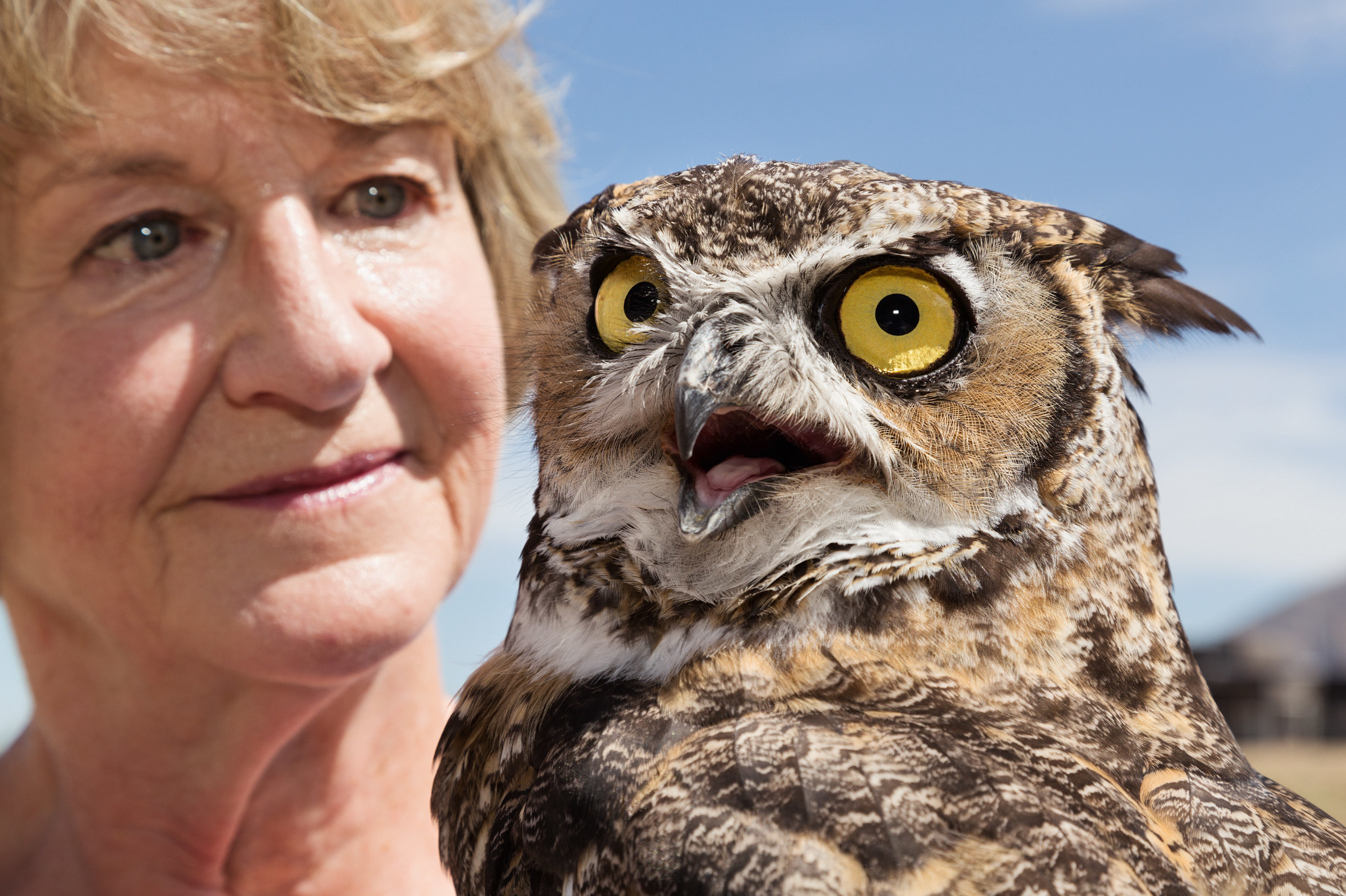 a close-up of a woman and an owl