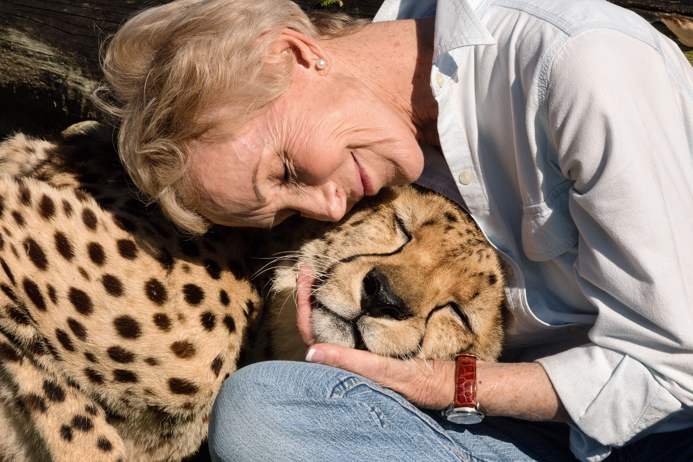 A woman rests her head on a cheetah&#x27;s head