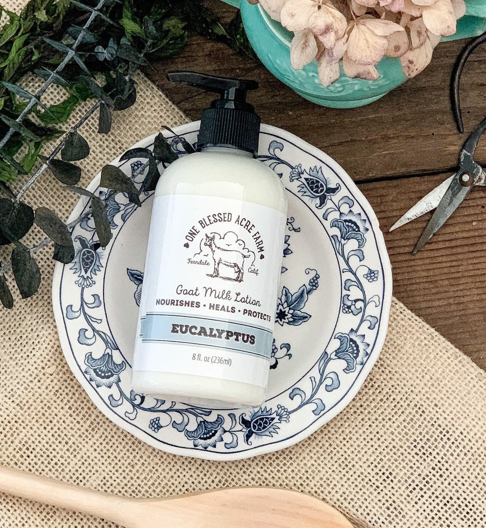 Eucalyptus Goat Milk Lotion displayed on a blue and white floral plate