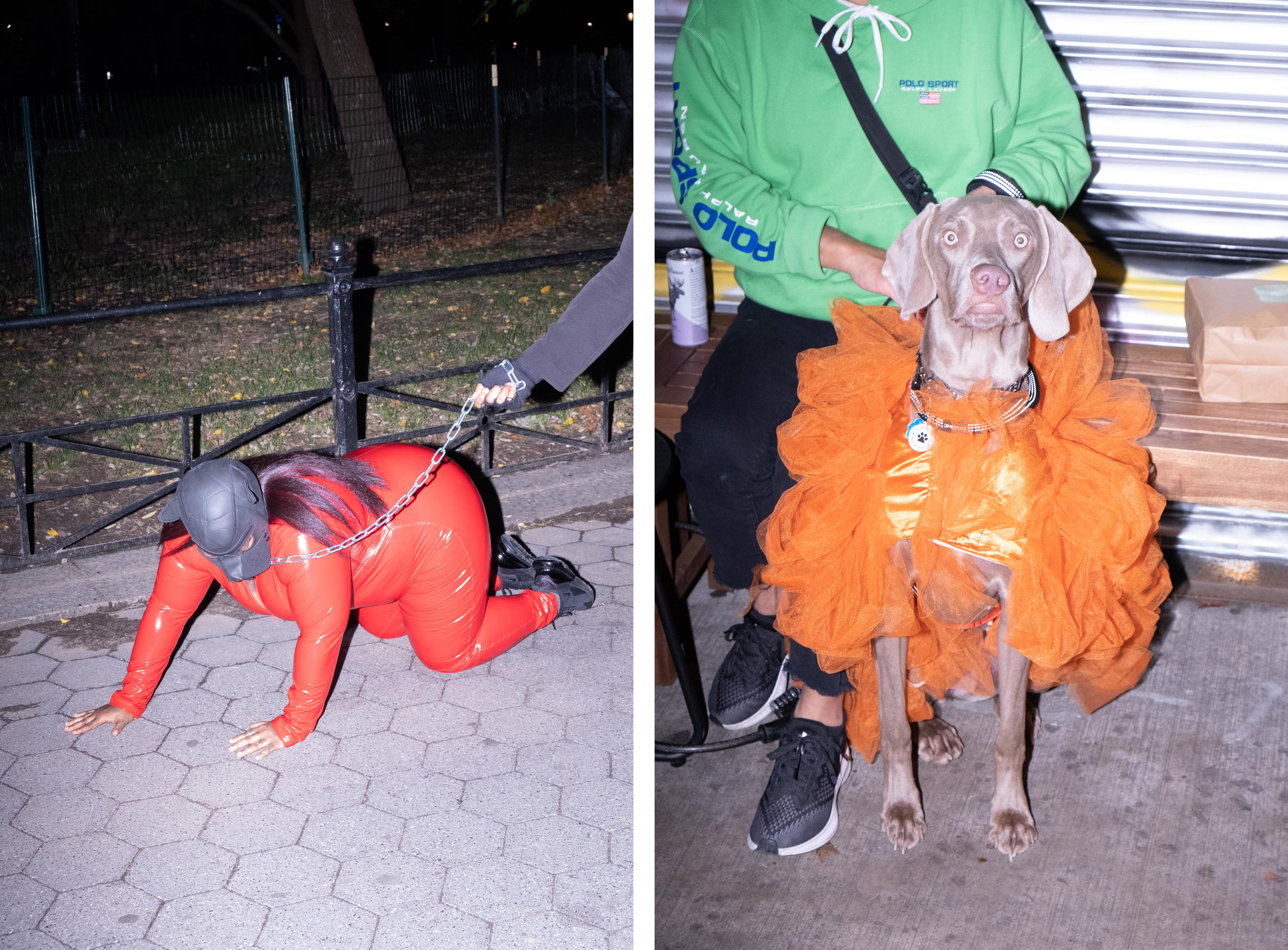 A woman in a gimp costume and a dog looking surprised