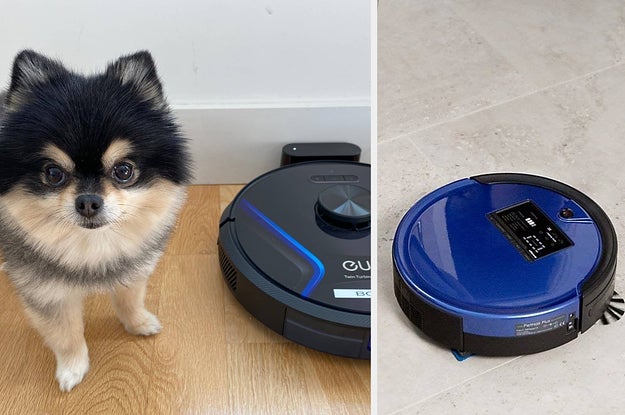 Small dog standing next to black robot vacuum, robot vacuum cleaning tile