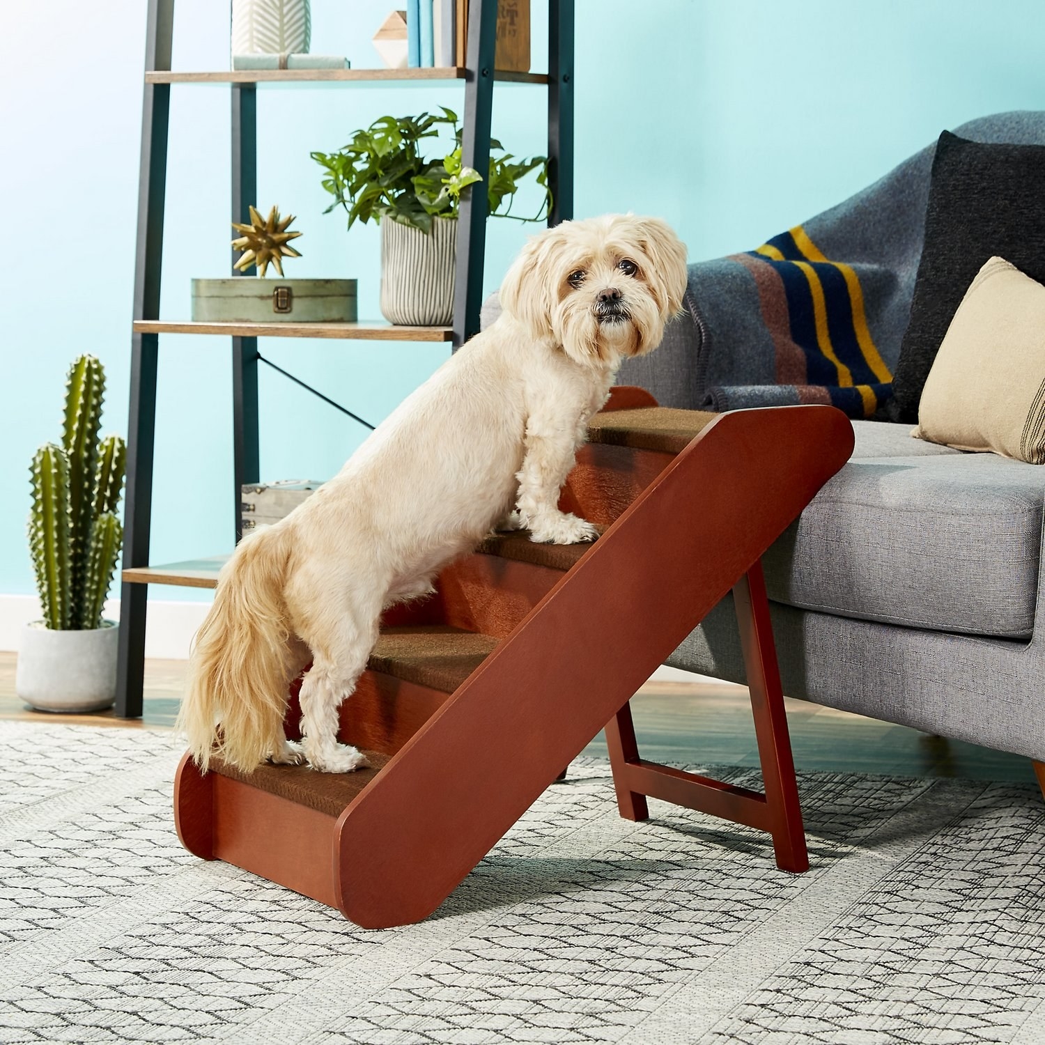 dog climbing wooden stairs to a couch