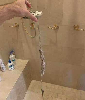 A customer review photo of them holding up their Drainwig covered in hair it pulled out of their drain