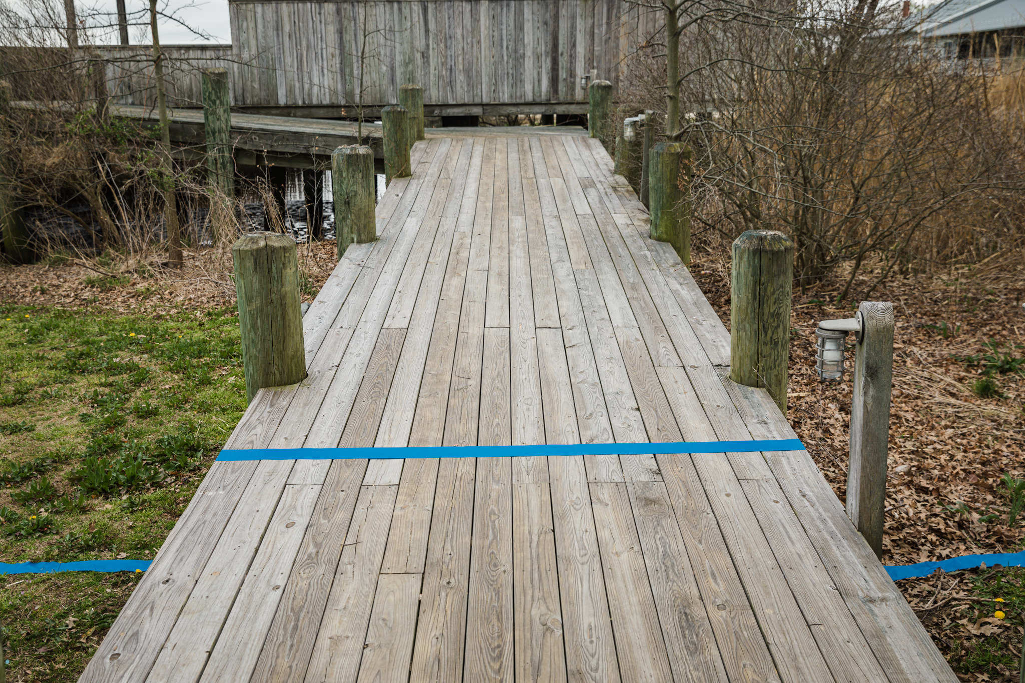 A wooden path with a blue tape across the middle
