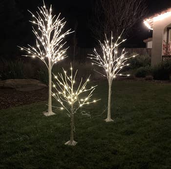 Reviewer photo of three trees lit up outside at night