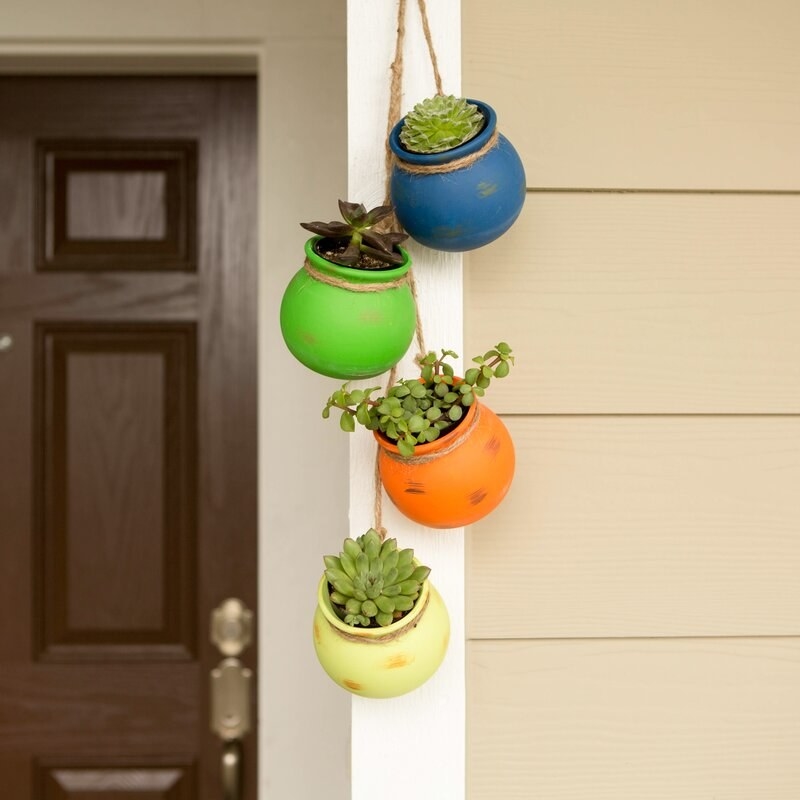 The hanging mini planters in blue, green, orange, and yellow with succulents in them