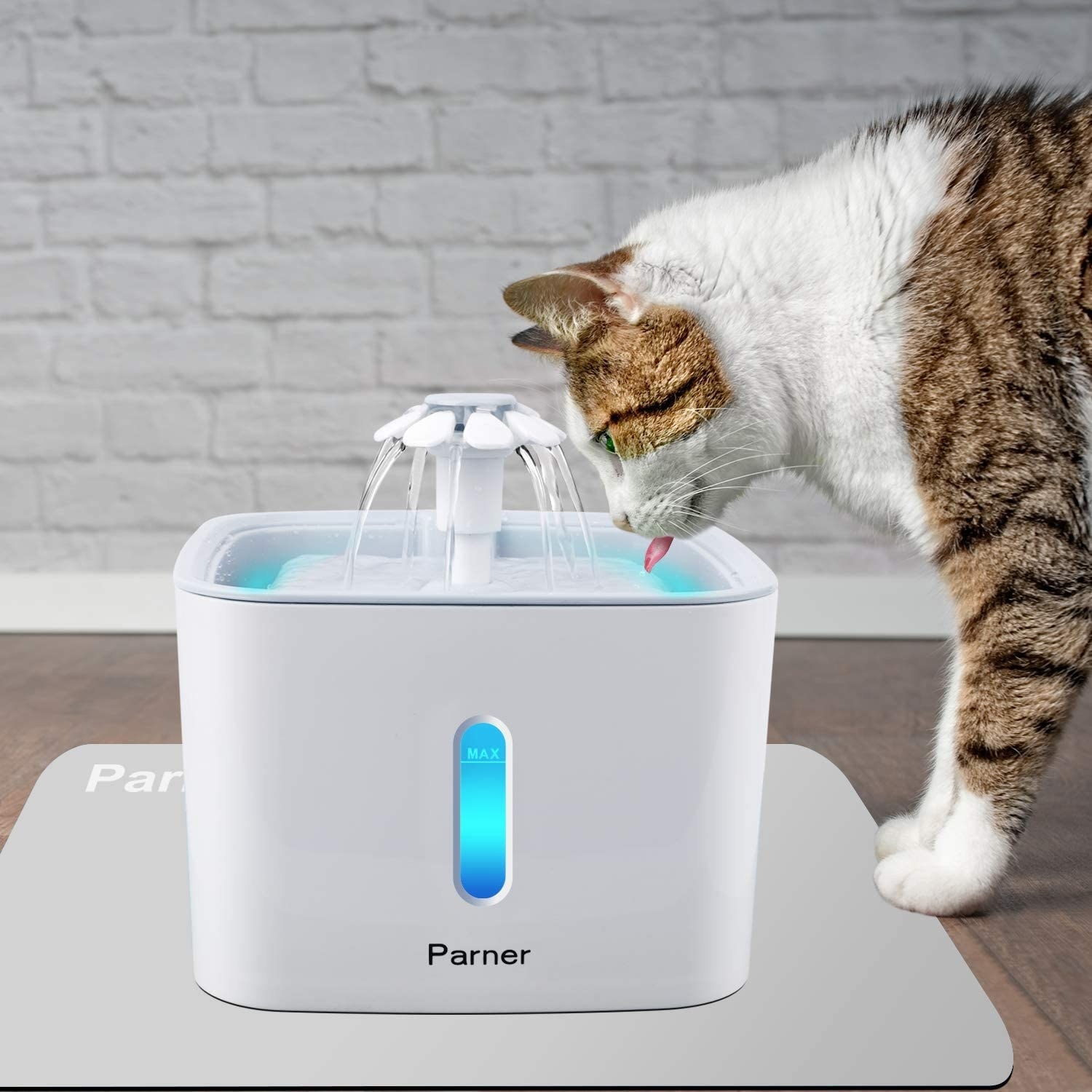 a cat drinking from the fountain water dispenser