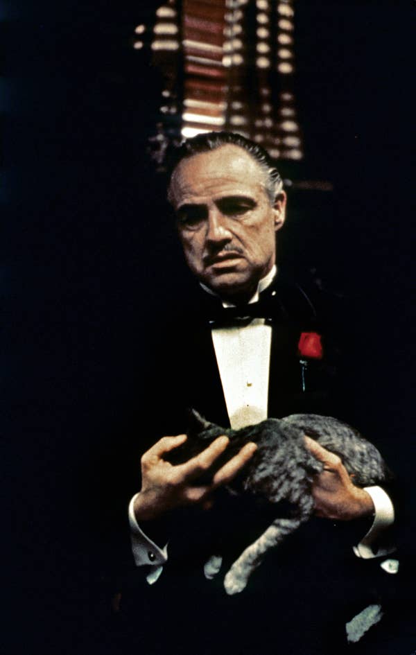 And this is Marlon Brando as Don Corleone: