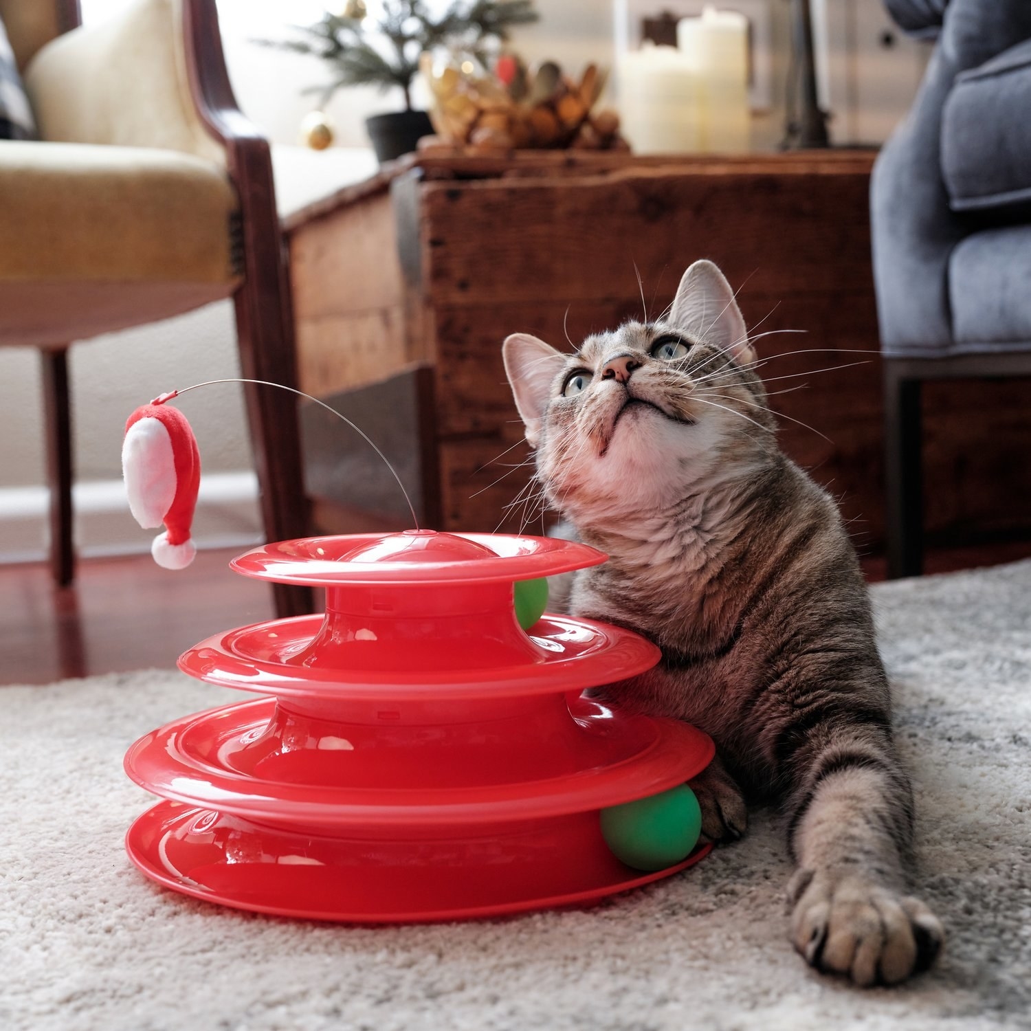 A cat next to a red, three-tiered track toy with green balls and a Santa hat topper.