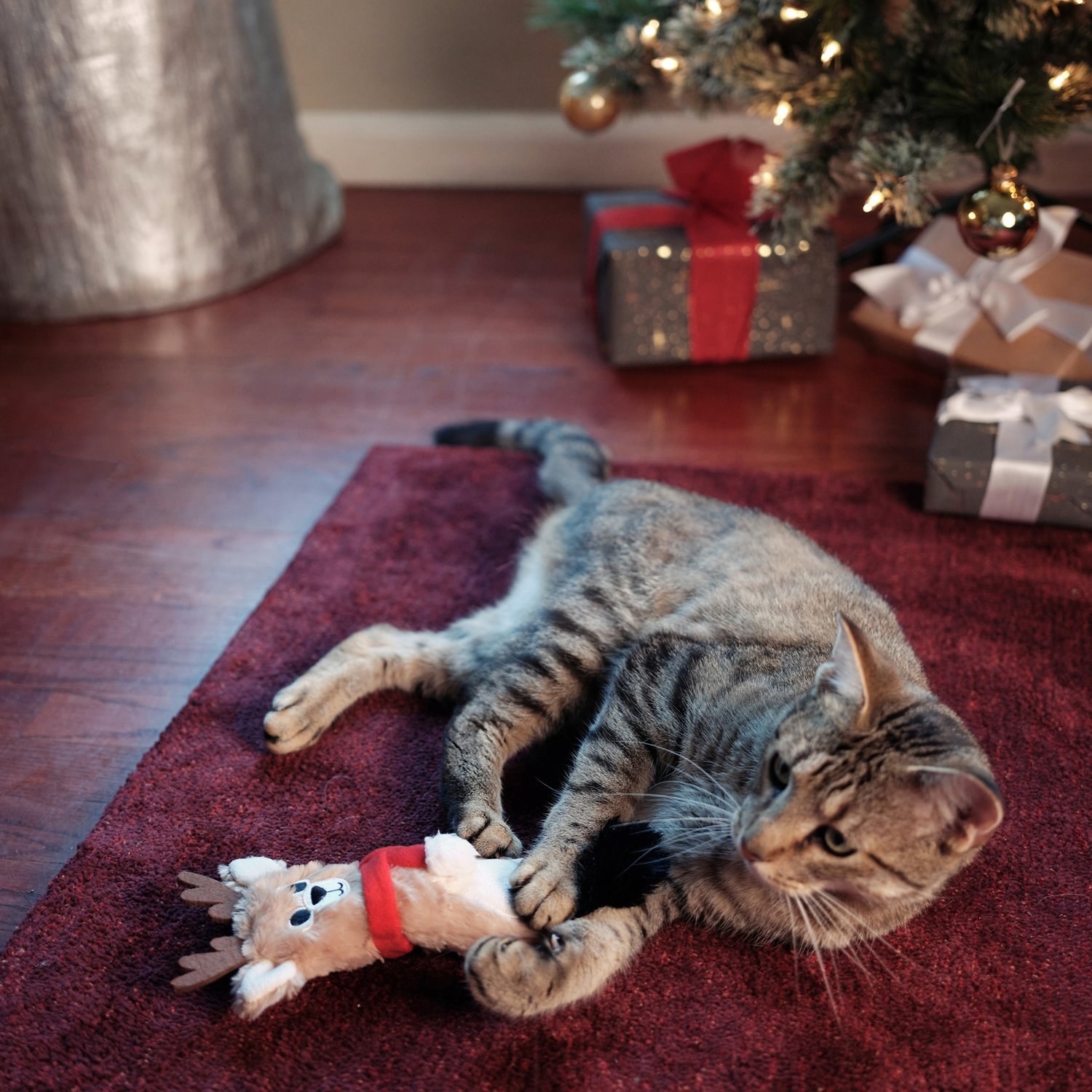 A cat playing with a reindeer plush toy.