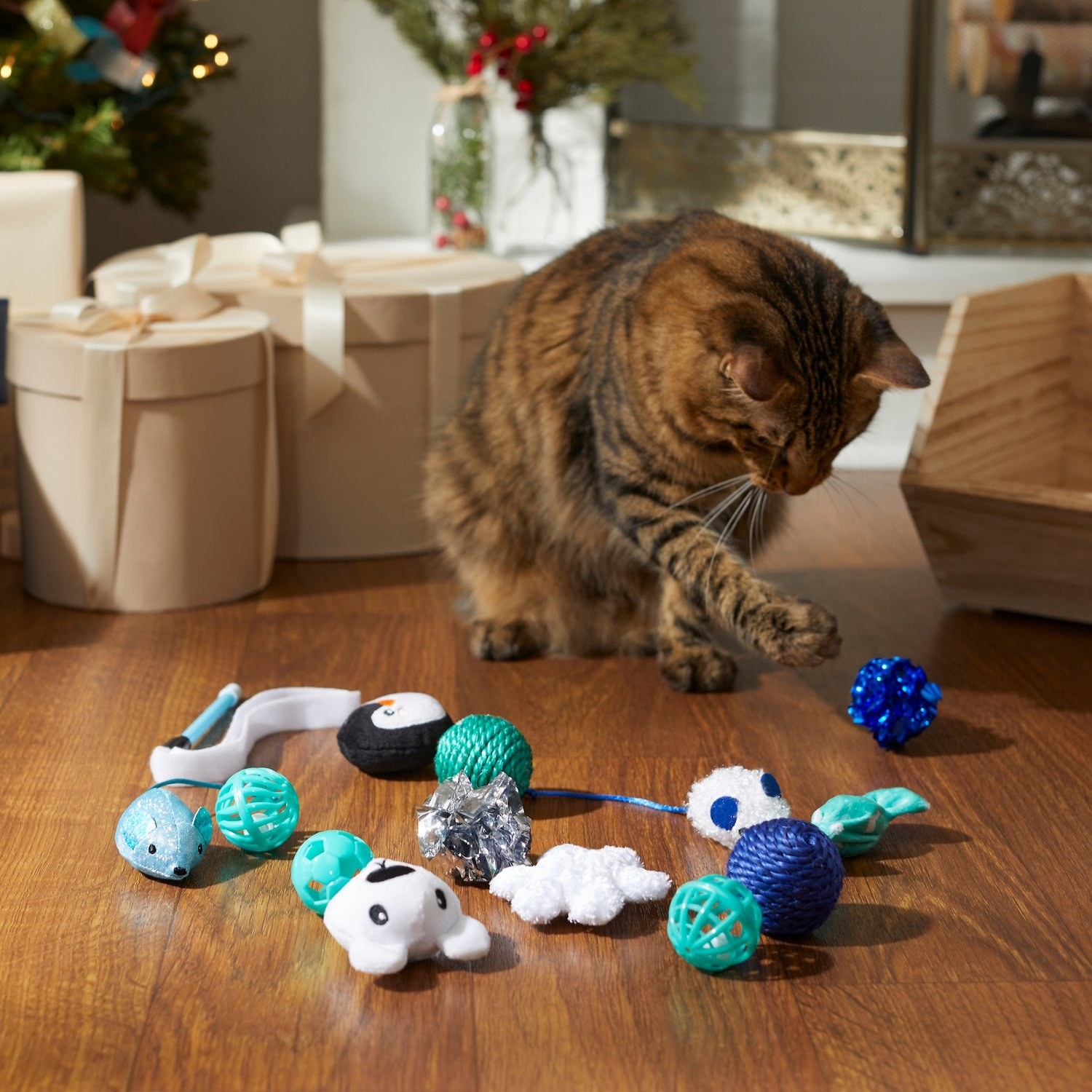 A cat looking at a variety of blue, winter-themed toys.