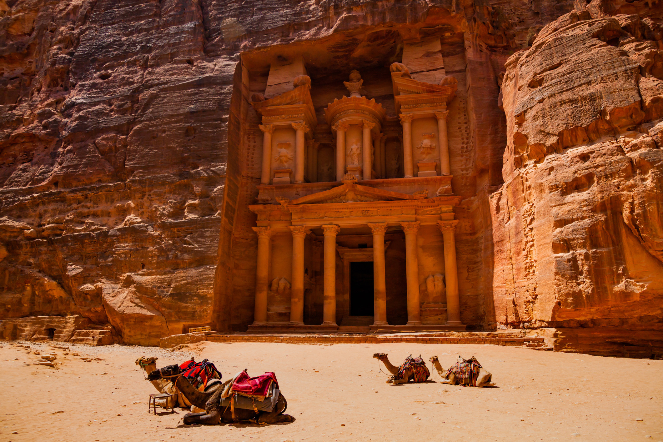 Camels in the desert at Petra, Jordan.