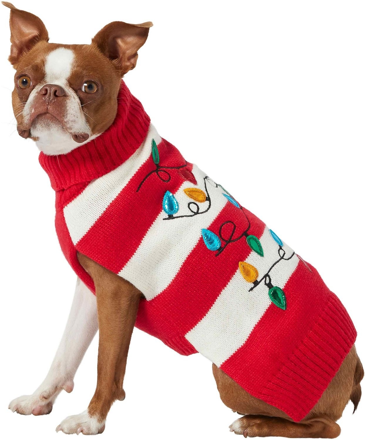 A dog wearing a red and white striped sweater with string light accents.