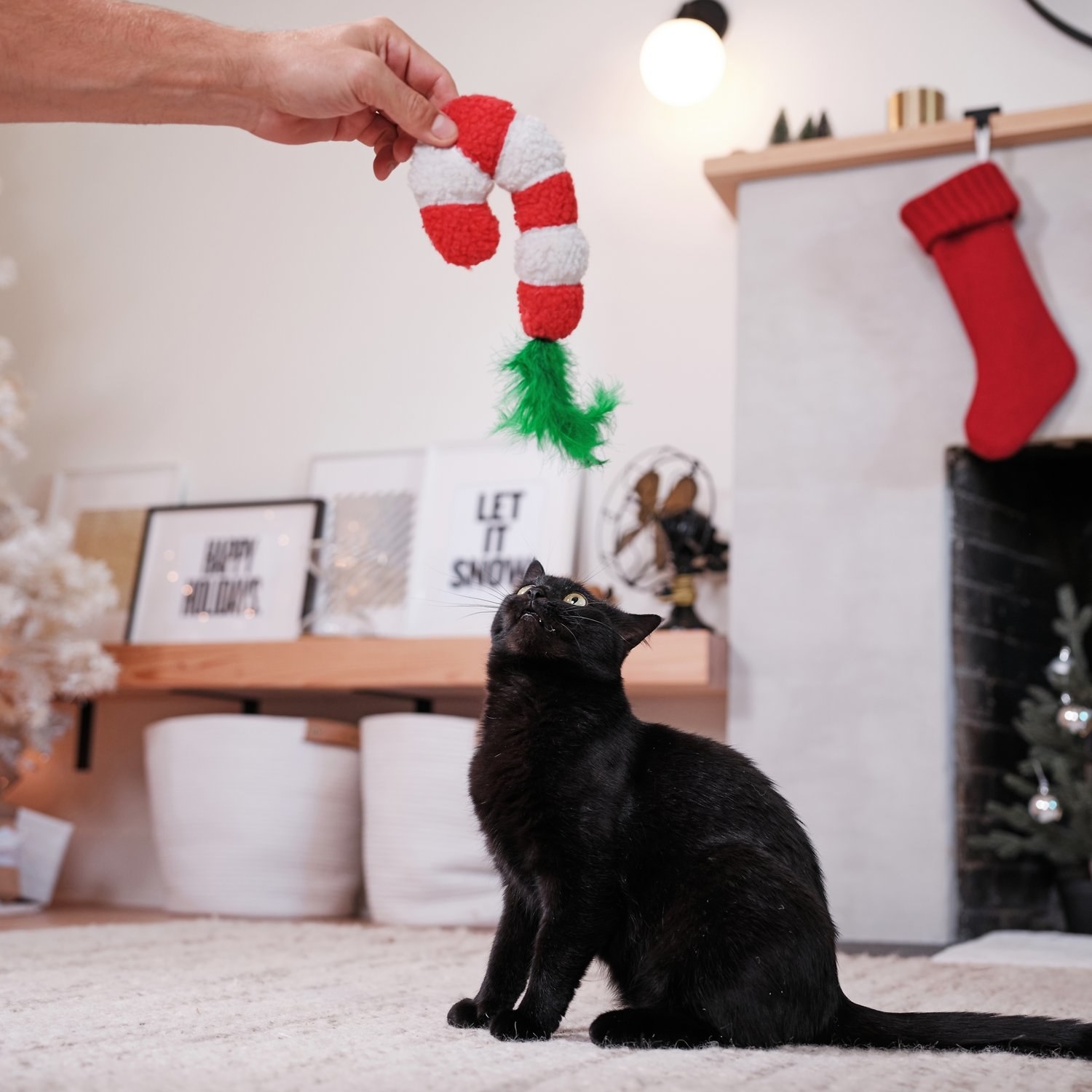 A cat looking up at a candy cane plush toy.