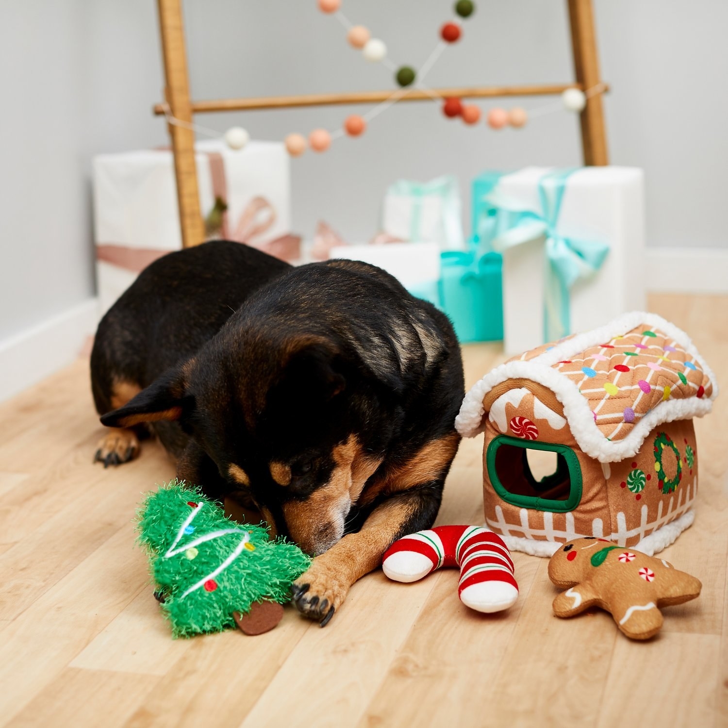 A dog playing with four holiday-themed toys.