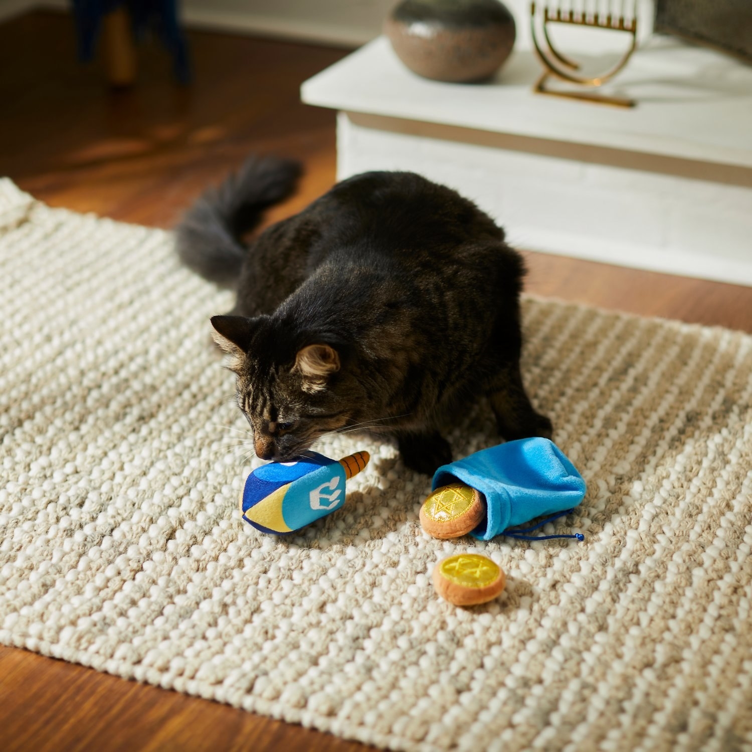 A cat playing with dreidel and coin bag plush toys.