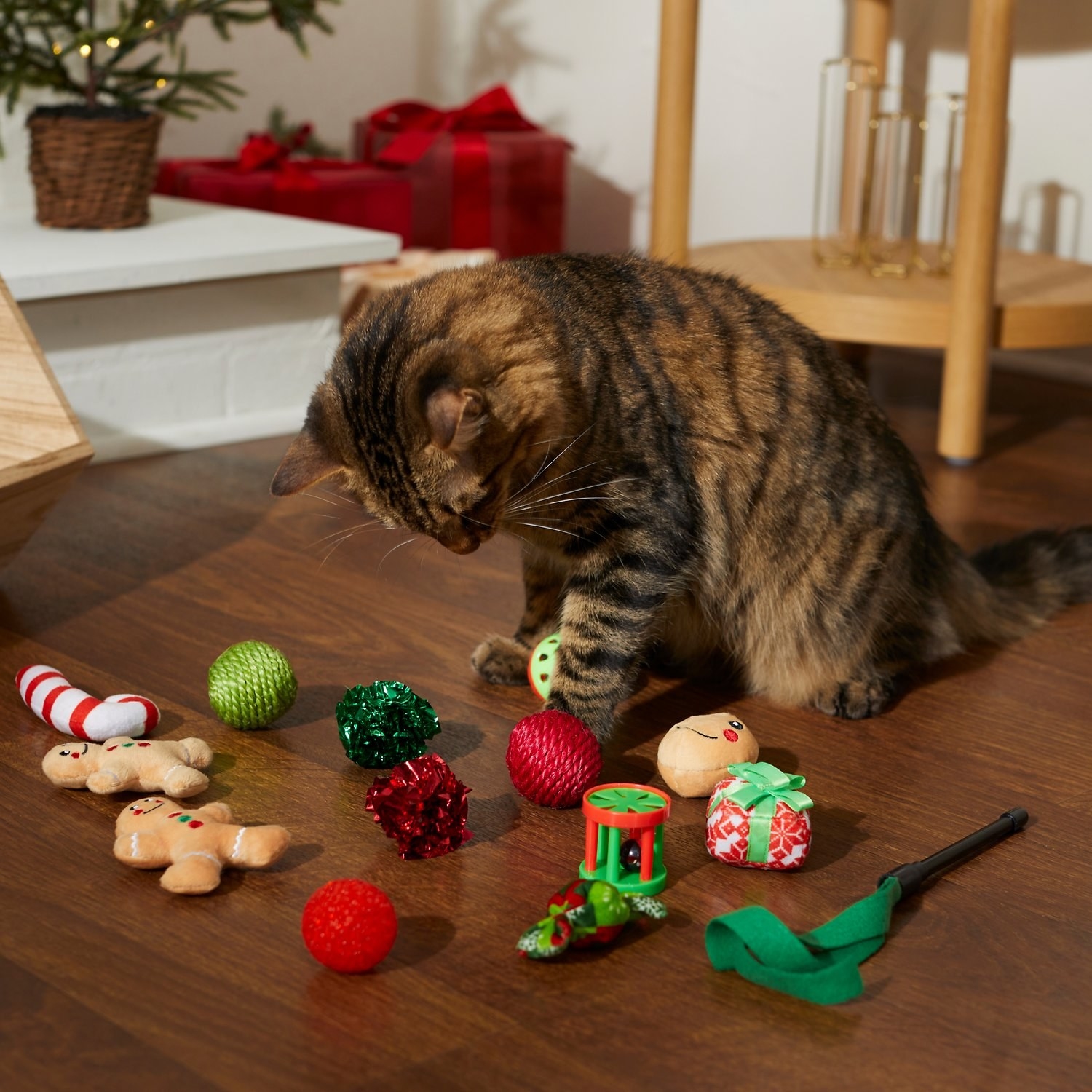A cat looking at variety of red, holiday-themes toys