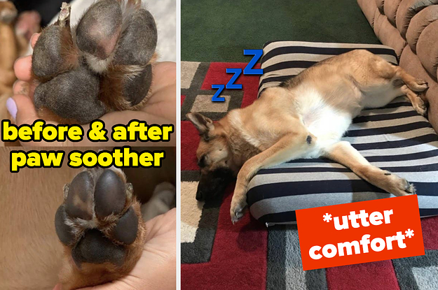 A split thumbnail of a dog paw and a dog sleeping