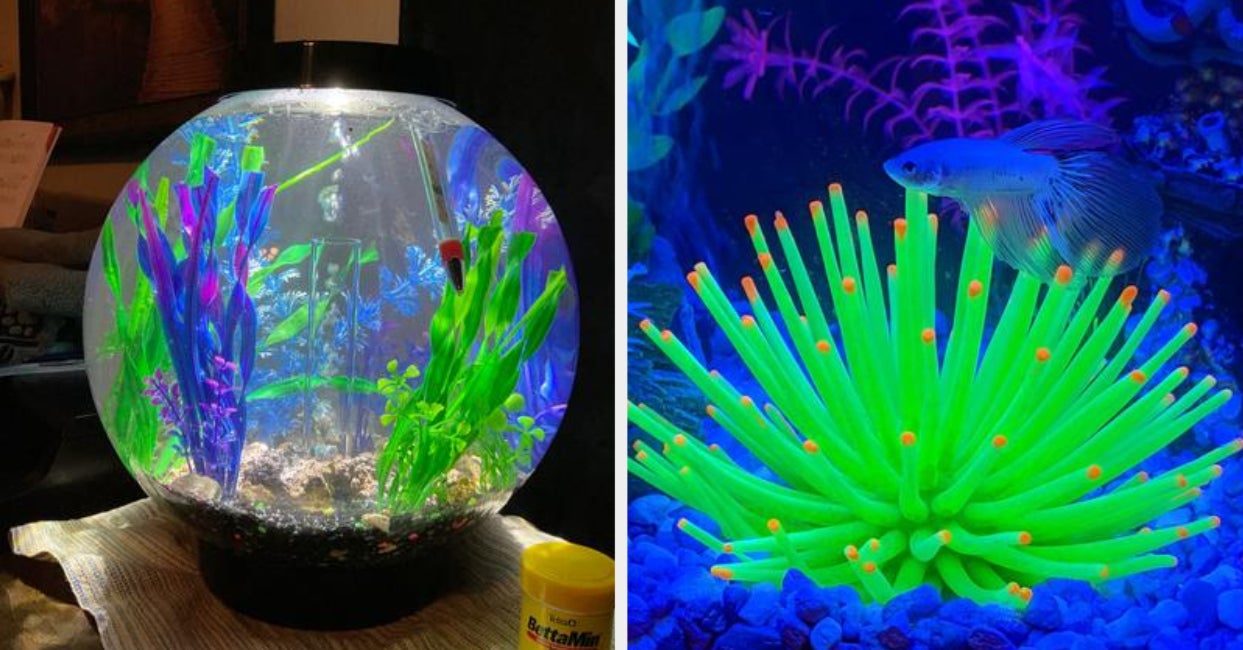 77 Elegant Gifts For The Minimalist In Your Life  Aquarium decorations,  Small fish tanks, Fish tank design