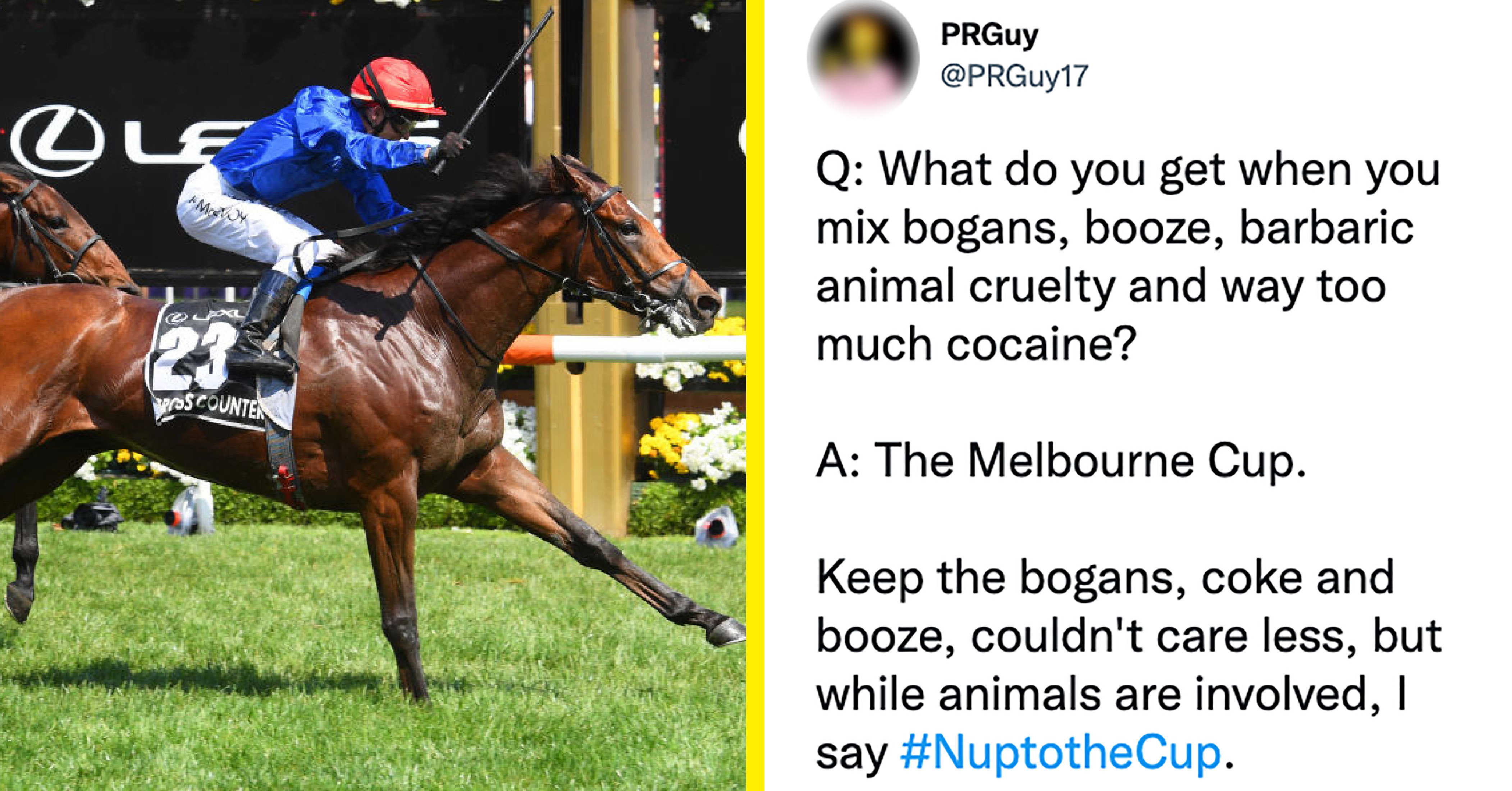 To in Melbourne horse sex ‘Deserved favourite’: