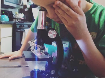 reviewer's child looking through the microscope