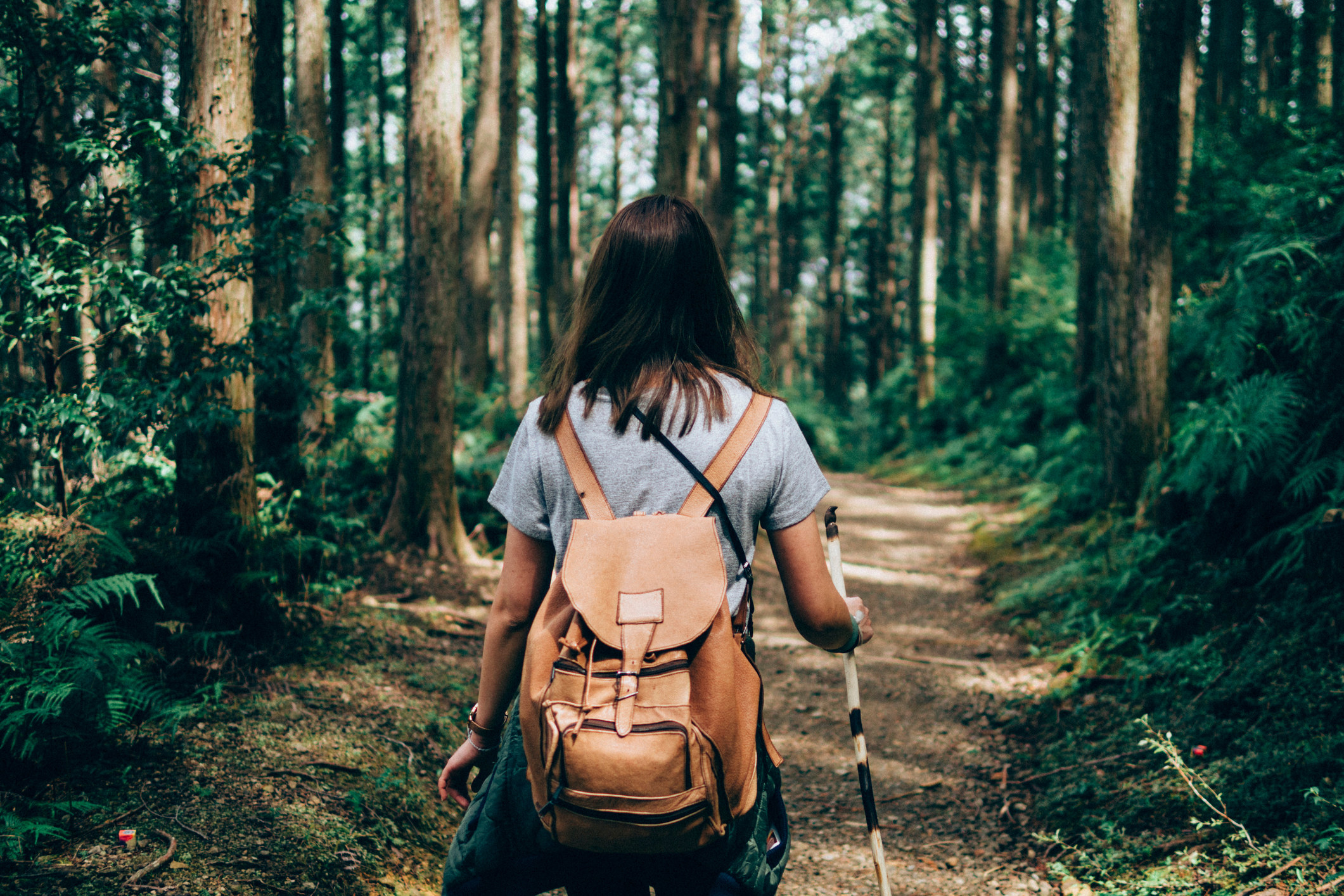 A woman walks down a hiking trail surrounded by a lush green forest