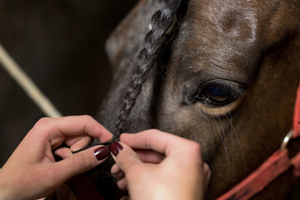 A pair of hands braid a horses hair