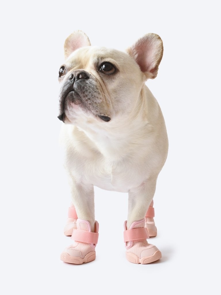 Flip Flop French Bulldog Charming Casual   Prevent Slippery Parent-Child 