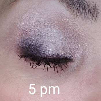 the aforesaid reviewer with the eyeshadow inactive connected labeled