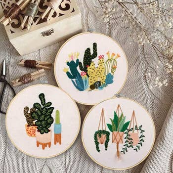 a set of three embroidered designs of potted plants and succulents