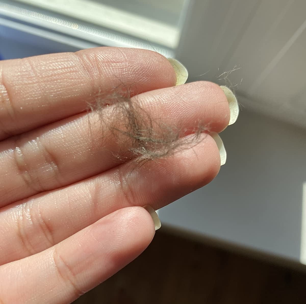 reviewer image of a mass of peach fuzz in their hand