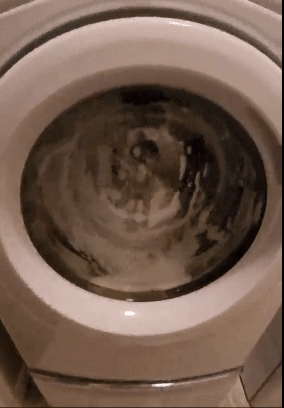 Reviewer GIF showing a the tablet foaming up inside a washing machine