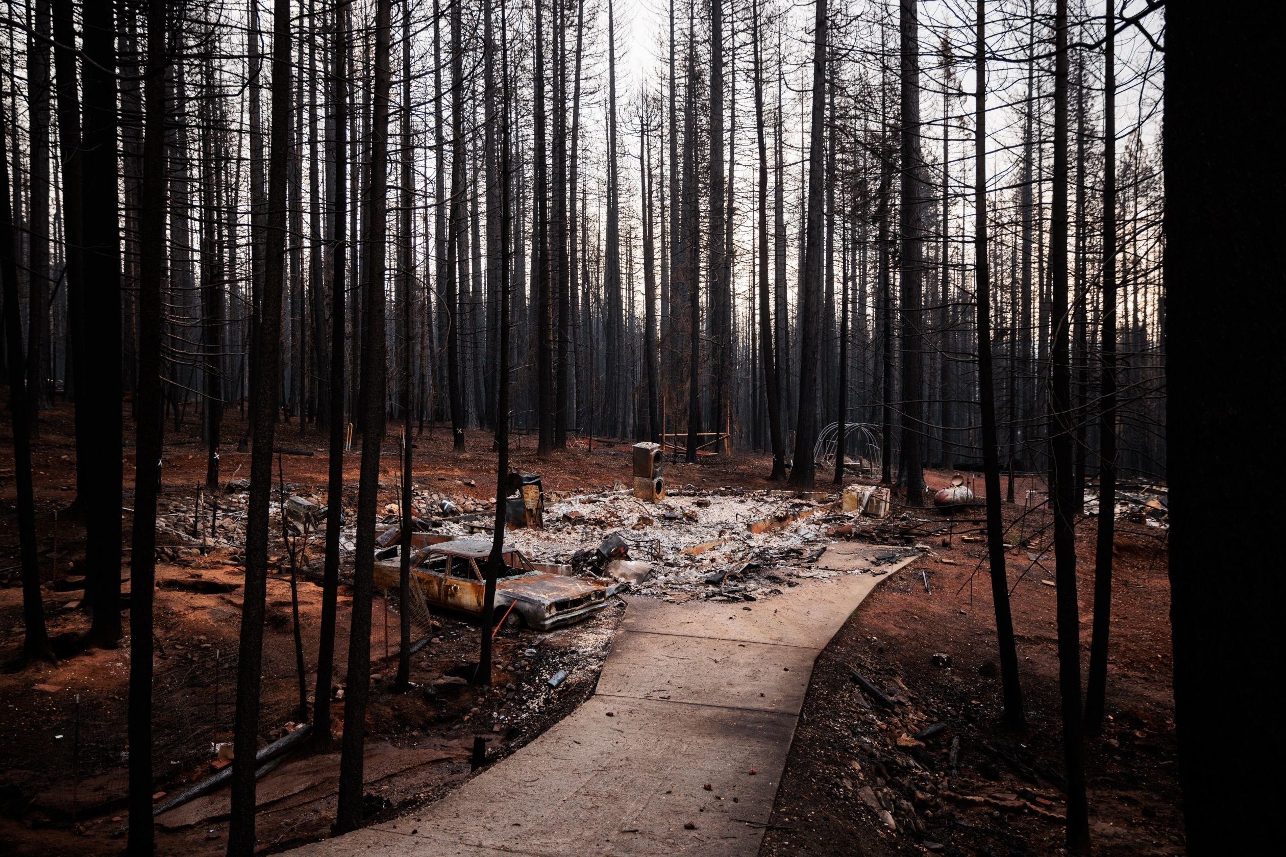 A road ends in ash remnants and debris after a fire, surrounded by bare trees