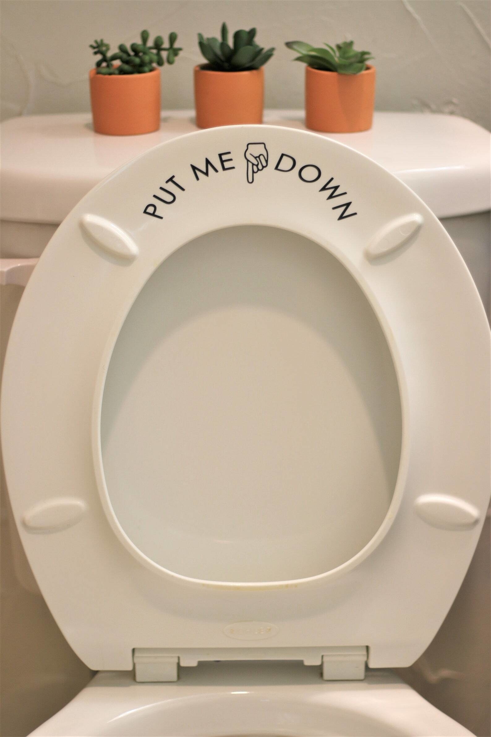 lifted toilet seat with a decal that has a hand pointing into the tank and the words put me down