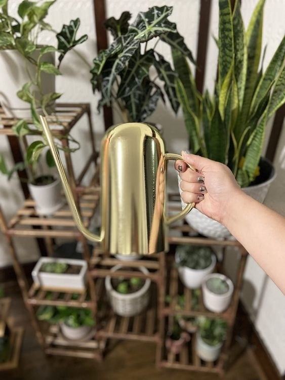 Reviewer holding the gold watering can