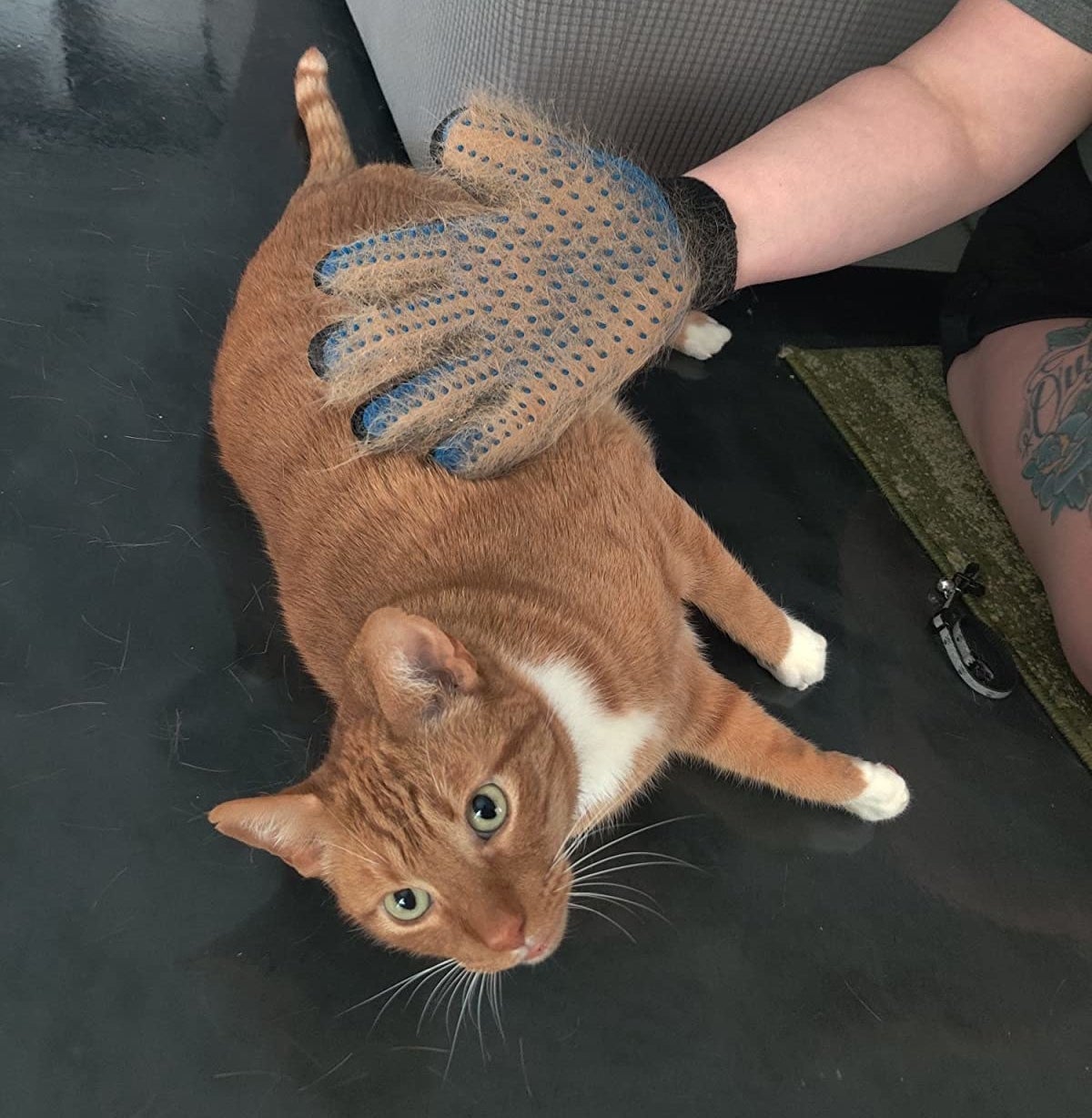 The grooming glove with silicone nodules, full of hair held in front of a cat