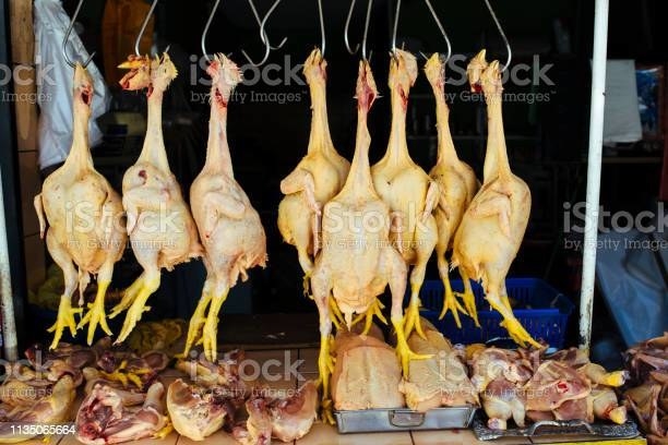 chickens that have been killed