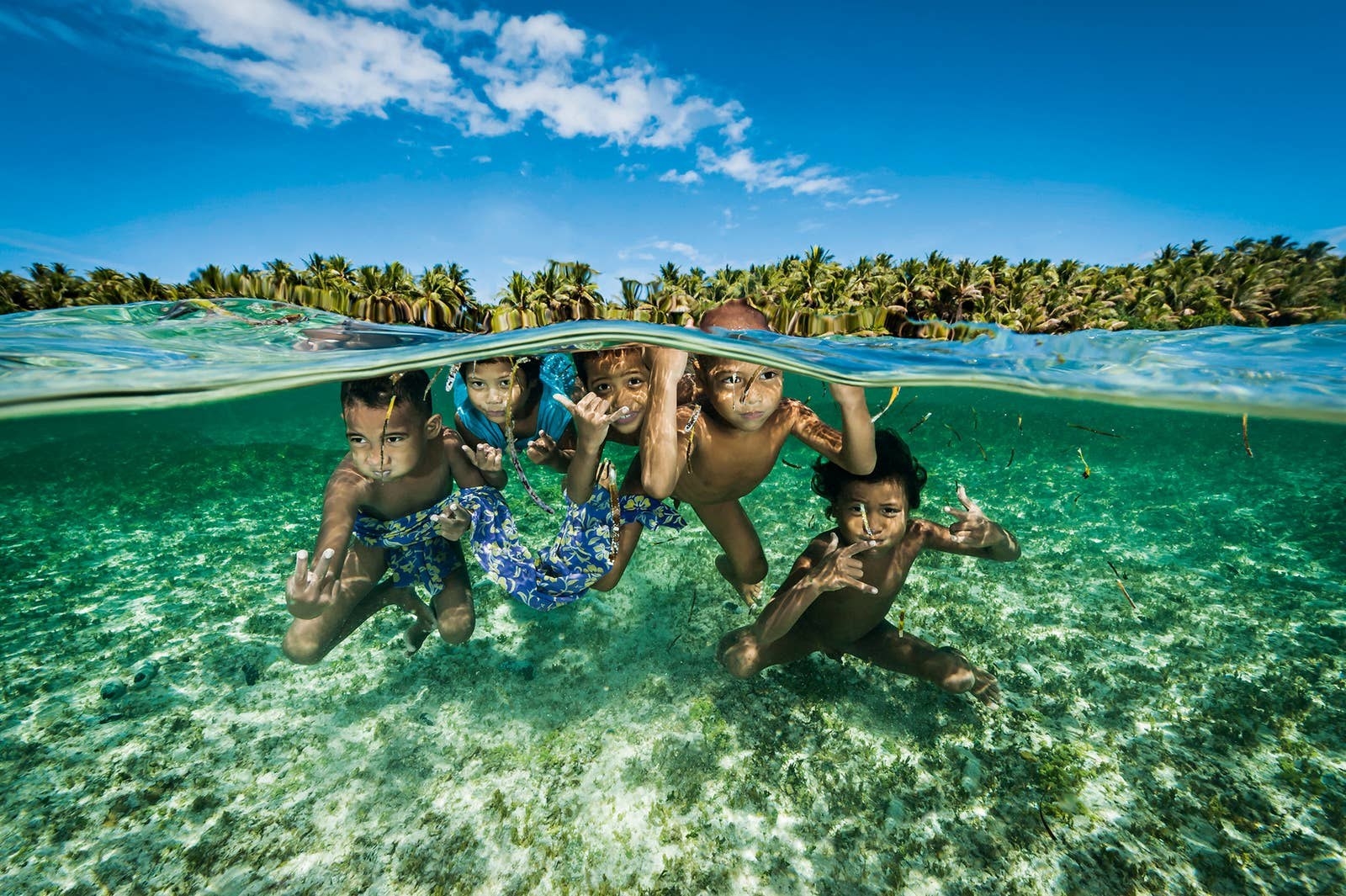 A group of young children are seen underwater